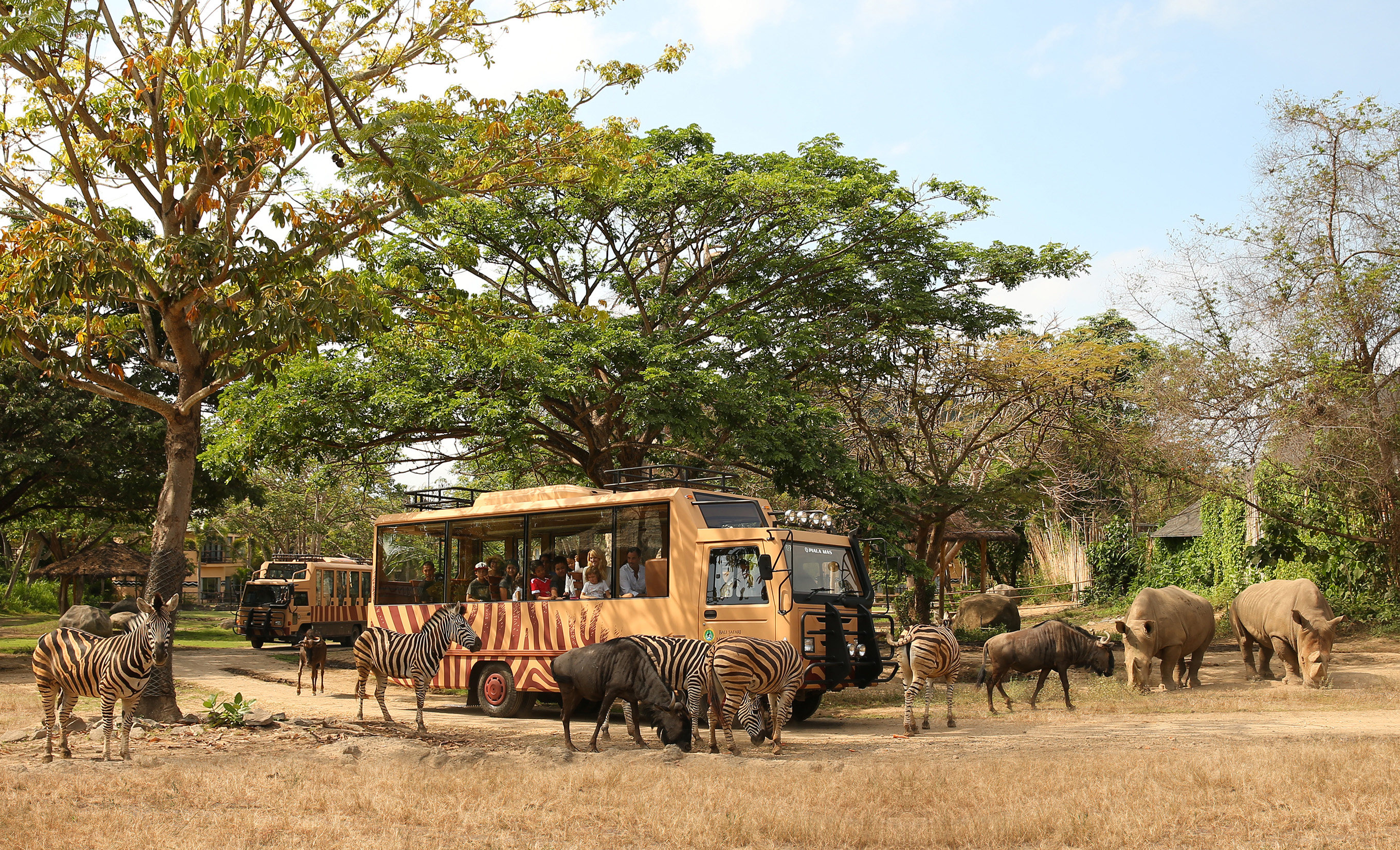 발리 사파리 티켓 (The Amazing Taman Safari Bali Ticket) 이미지 6